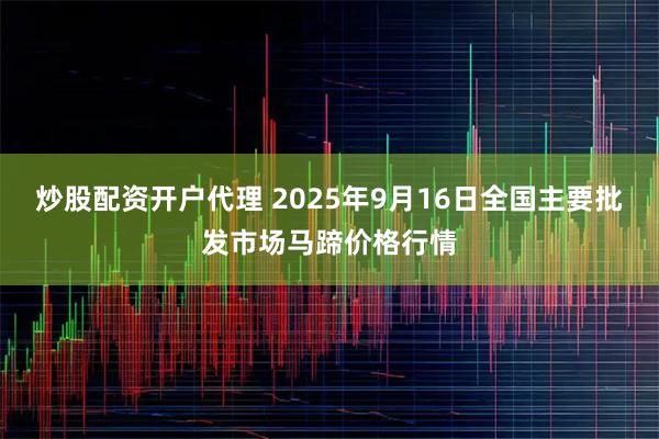 炒股配资开户代理 2025年9月16日全国主要批发市场马蹄价格行情