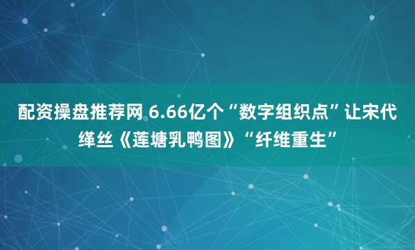 配资操盘推荐网 6.66亿个“数字组织点”让宋代缂丝《莲塘乳鸭图》“纤维重生”