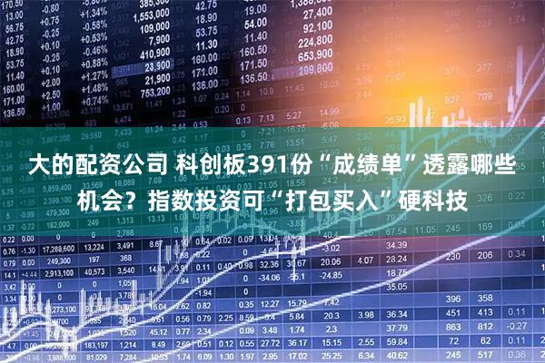 大的配资公司 科创板391份“成绩单”透露哪些机会？指数投资可“打包买入”硬科技