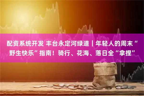 配资系统开发 丰台永定河绿道｜年轻人的周末“野生快乐”指南！骑行、花海、落日全“拿捏”