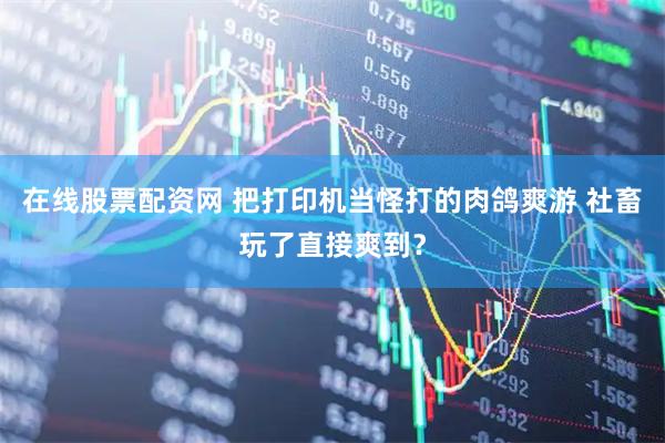 在线股票配资网 把打印机当怪打的肉鸽爽游 社畜玩了直接爽到？