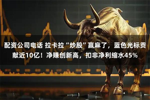 配资公司电话 拉卡拉“炒股”赢麻了，蓝色光标贡献近10亿！净赚创新高，扣非净利缩水45%
