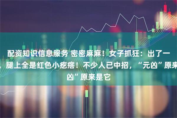 配资知识信息服务 密密麻麻！女子抓狂：出了一趟门，腿上全是红色小疙瘩！不少人已中招，“元凶”原来是它